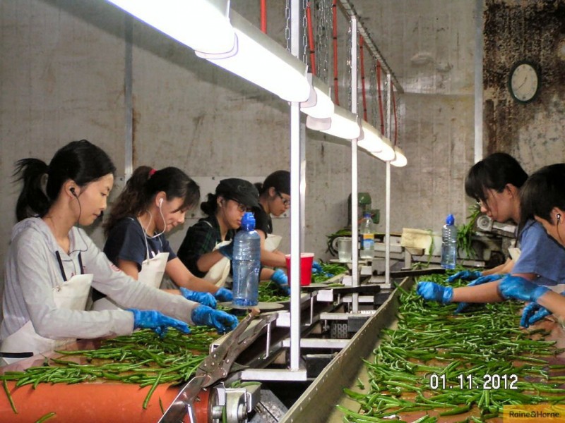 Horseshoe Lagoon QLD 4809