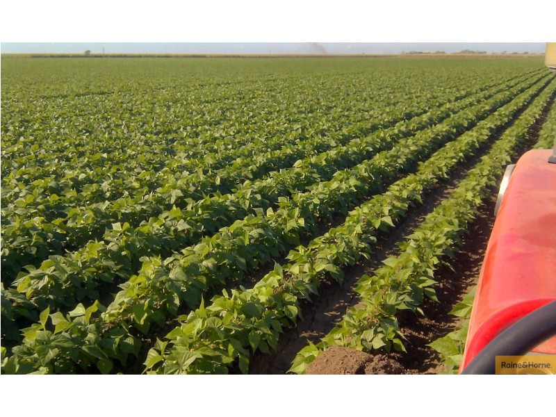 Horseshoe Lagoon QLD 4809