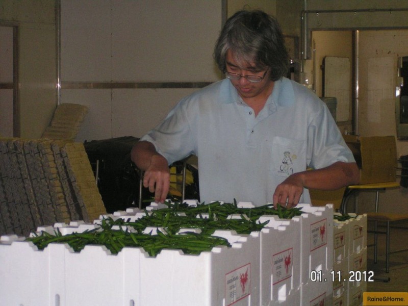 Horseshoe Lagoon QLD 4809