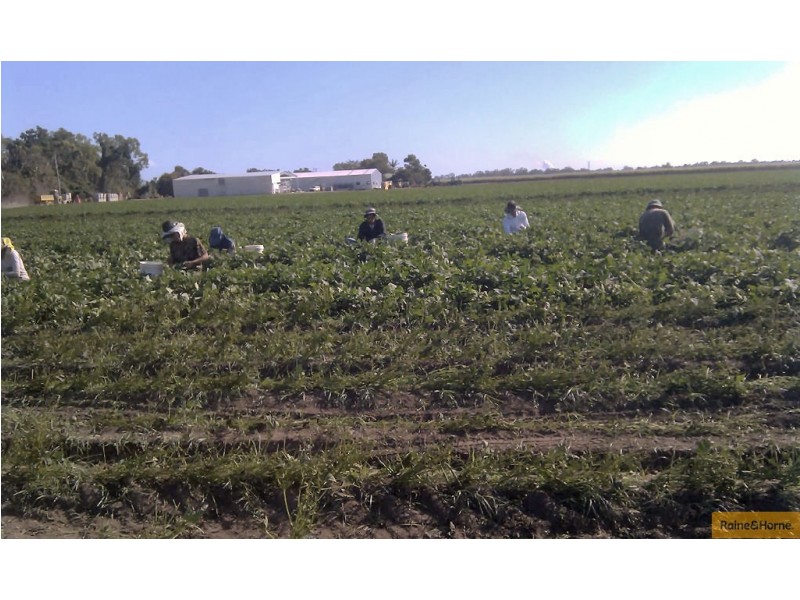 Horseshoe Lagoon QLD 4809