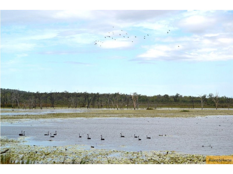 100 Old Coach Road., Majors Creek QLD 4816