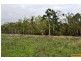 100 Old Coach Road., Majors Creek QLD 4816