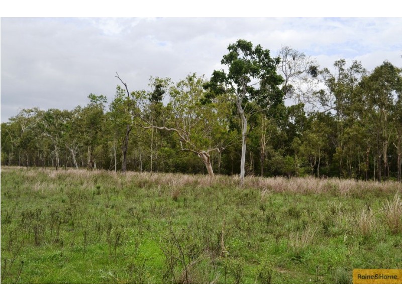 100 Old Coach Road., Majors Creek QLD 4816