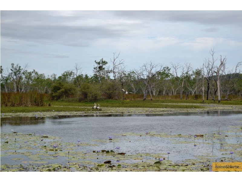 100 Old Coach Road., Majors Creek QLD 4816