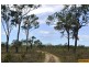 100 Old Coach Road., Majors Creek QLD 4816