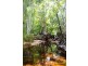 100 Old Coach Road., Majors Creek QLD 4816