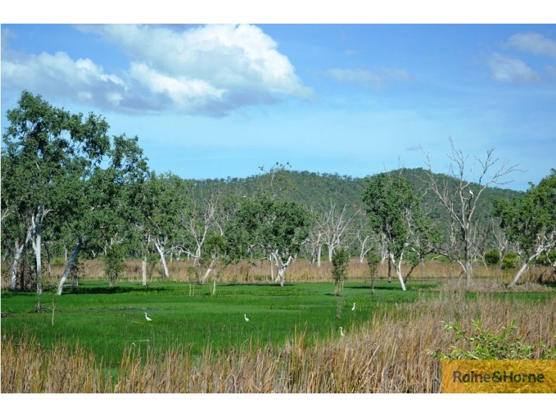 100 Old Coach Road., Majors Creek QLD 4816