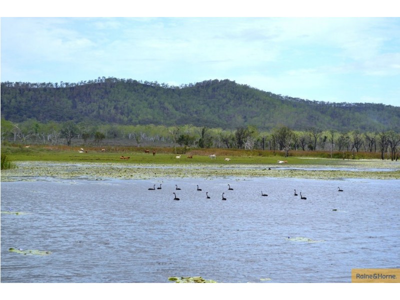 100 Old Coach Road, Majors Creek QLD 4816