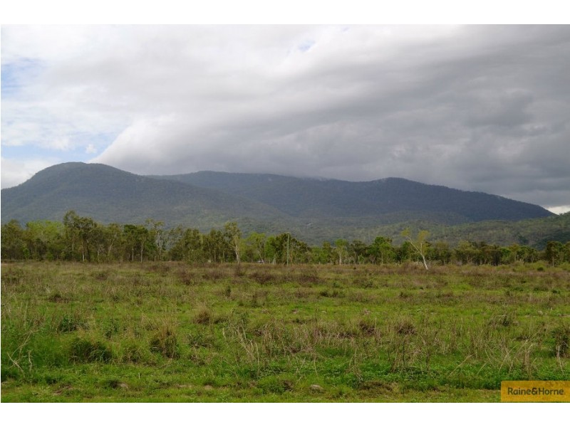 100 Old Coach Road, Majors Creek QLD 4816