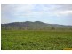 100 Old Coach Road, Majors Creek QLD 4816