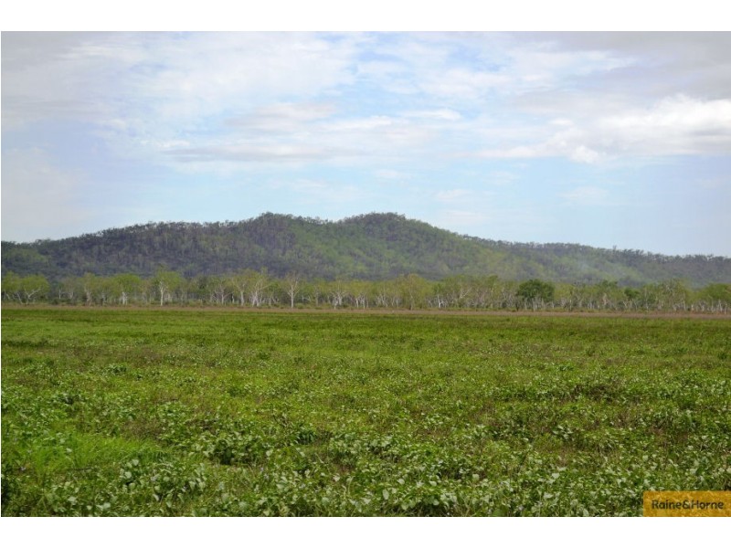 100 Old Coach Road, Majors Creek QLD 4816