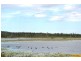 100 Old Coach Road, Majors Creek QLD 4816