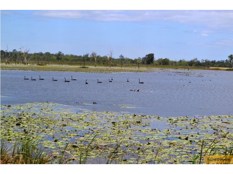 100 Old Coach Road, Majors Creek QLD 4816