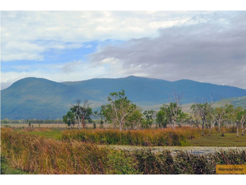 100 Old Coach Road, Majors Creek QLD 4816