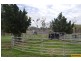 100 Old Coach Road, Majors Creek QLD 4816