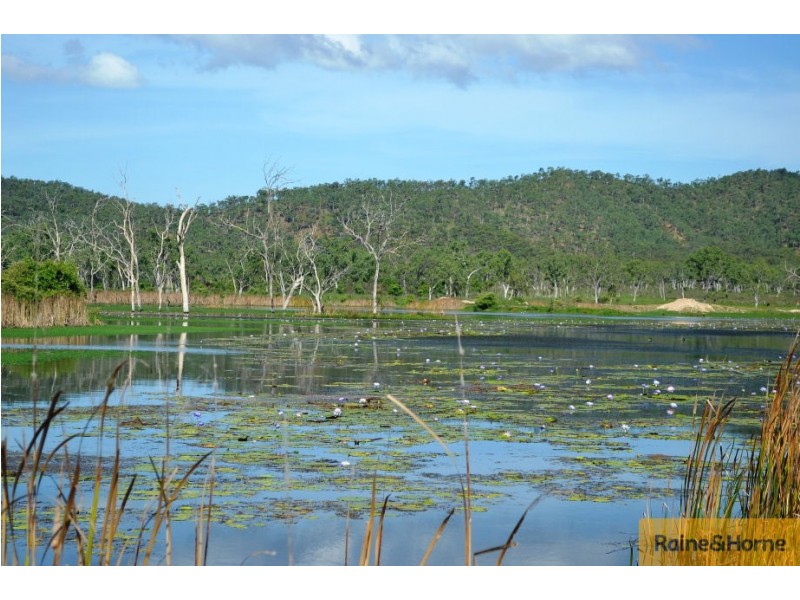 100 Old Coach Road, Majors Creek QLD 4816