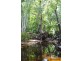100 Old Coach Road, Majors Creek QLD 4816
