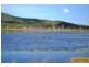 100 Old Coach Road, Majors Creek QLD 4816