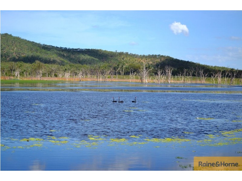 100 Old Coach Road, Majors Creek QLD 4816