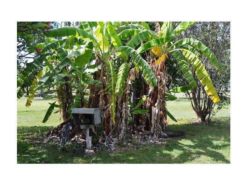 Giru QLD 4809