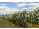 Ayr QLD 4807