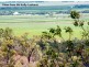 Mount Kelly QLD 4807