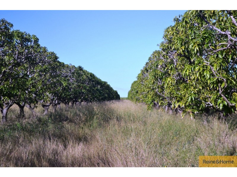 32 Trembath Road, Giru QLD 4809