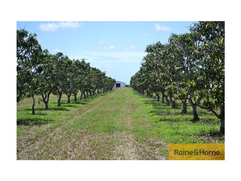 Horseshoe Lagoon QLD 4809