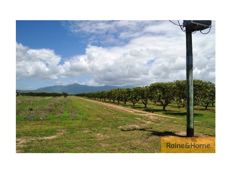 Horseshoe Lagoon QLD 4809