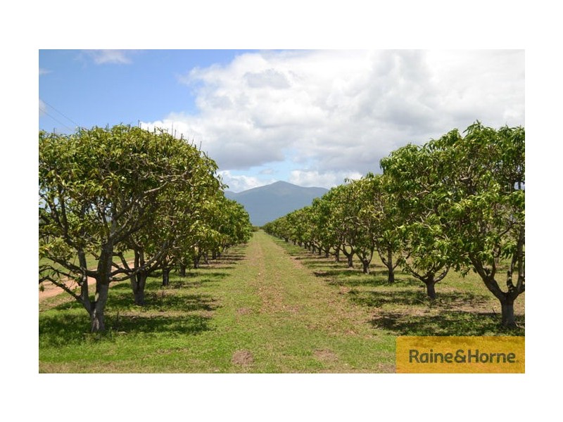 Horseshoe Lagoon QLD 4809
