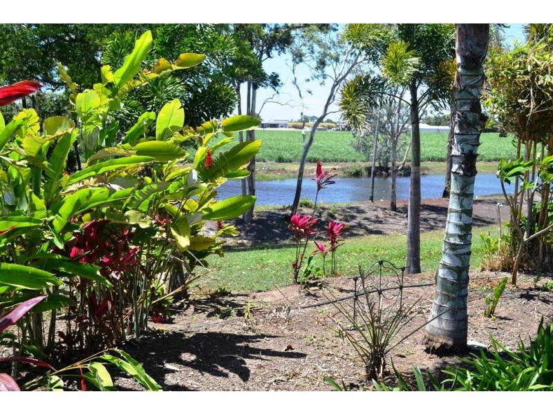 Ayr QLD 4807