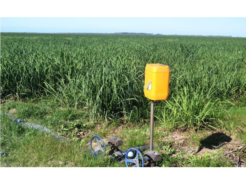 Horseshoe Lagoon QLD 4809