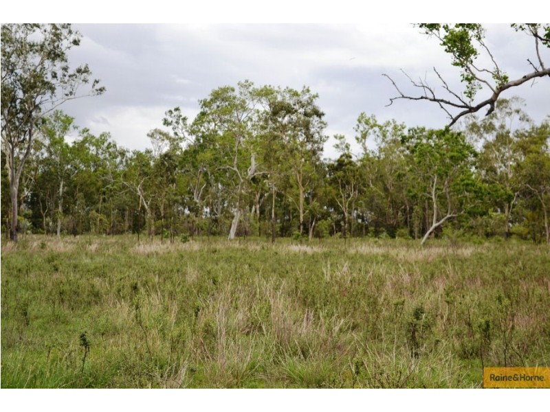 . Old Coach Road, Majors Creek QLD 4816