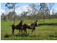 Majors Creek QLD 4816