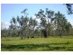 Majors Creek QLD 4816