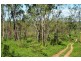 Majors Creek QLD 4816