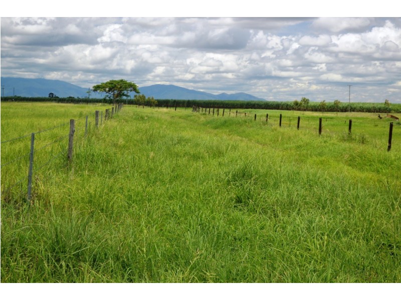 Brandon QLD 4808
