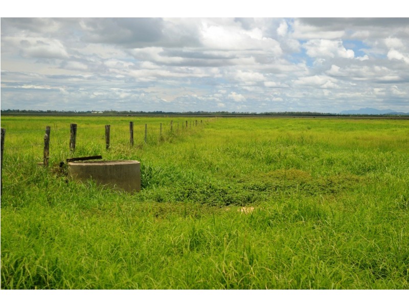 Brandon QLD 4808