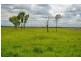 Brandon QLD 4808