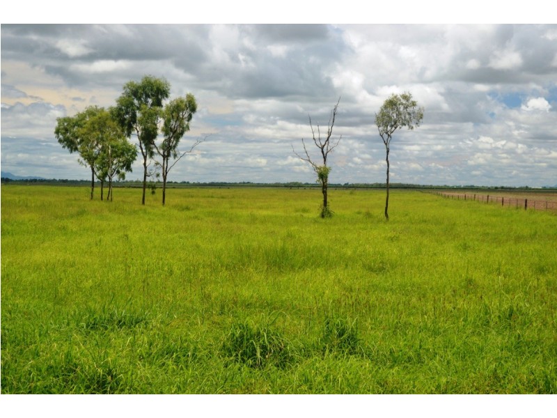 Brandon QLD 4808