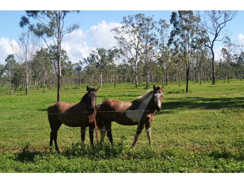 Majors Creek QLD 4816