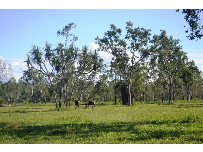 Majors Creek QLD 4816