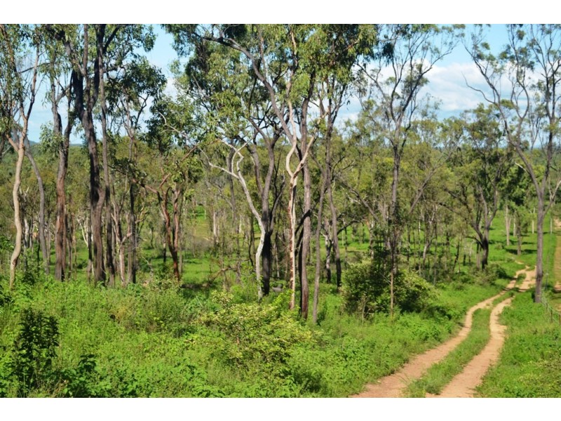 Majors Creek QLD 4816