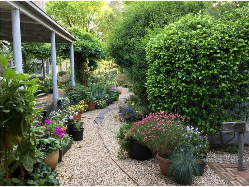 5 Pink Street, Violet Town VIC 3669