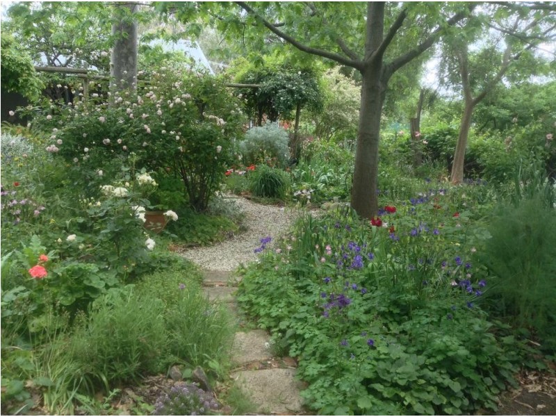 5 Pink Street, Violet Town VIC 3669