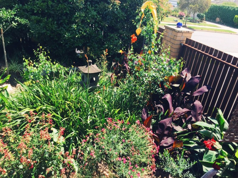 1/90 Mitchell Street, Wodonga VIC 3690