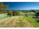 3801 Omeo Highway, Eskdale VIC 3701