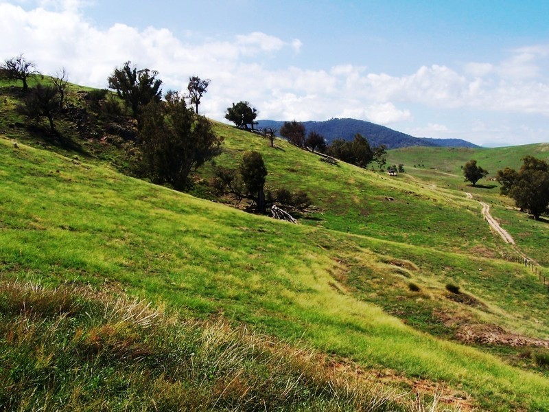 307600 McCallums Lane, Bullioh VIC 3700