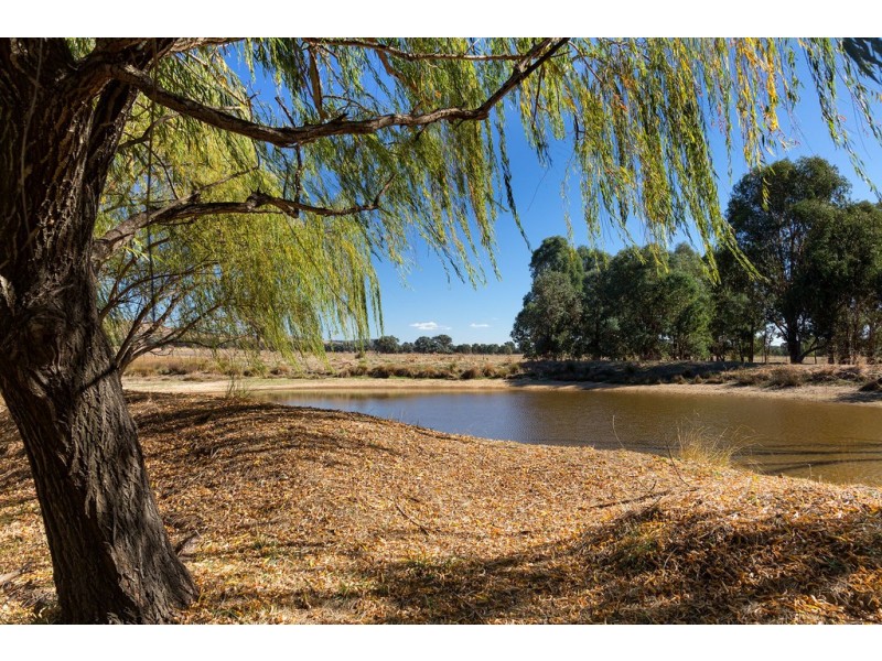 924 Indigo Creek Road, Indigo Valley VIC 3688