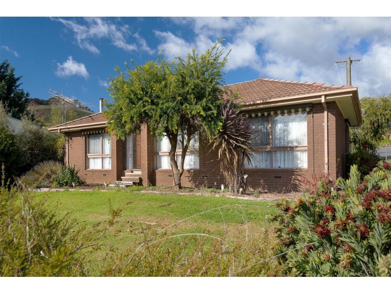 3816 Omeo Highway, Eskdale VIC 3701